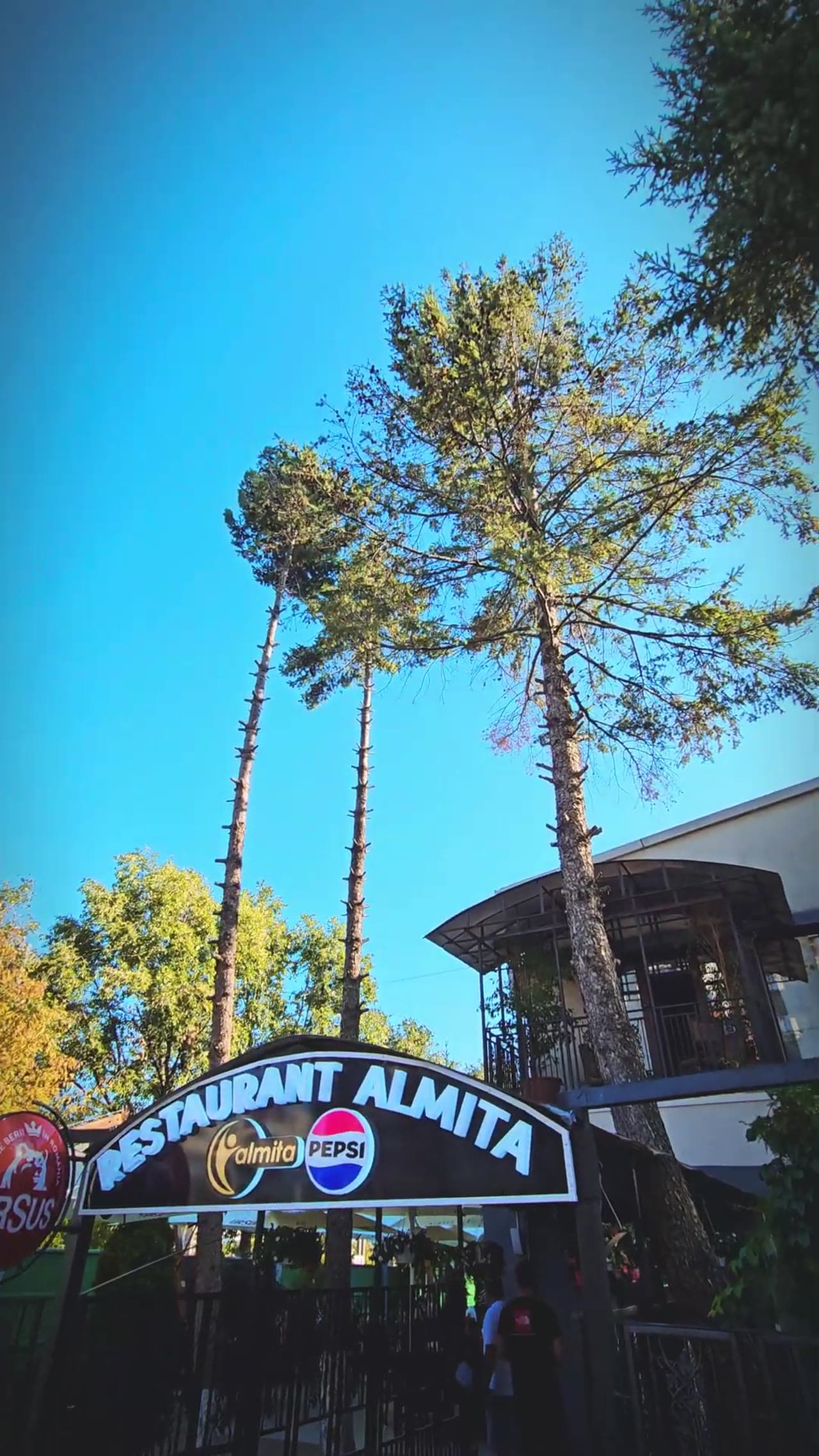 Turcul-si-romanul-la-Almita